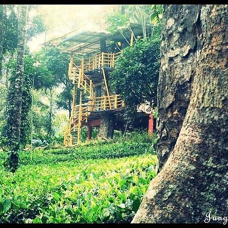 Jungle Jive Treehouse And Farm House Munnar Exterior foto