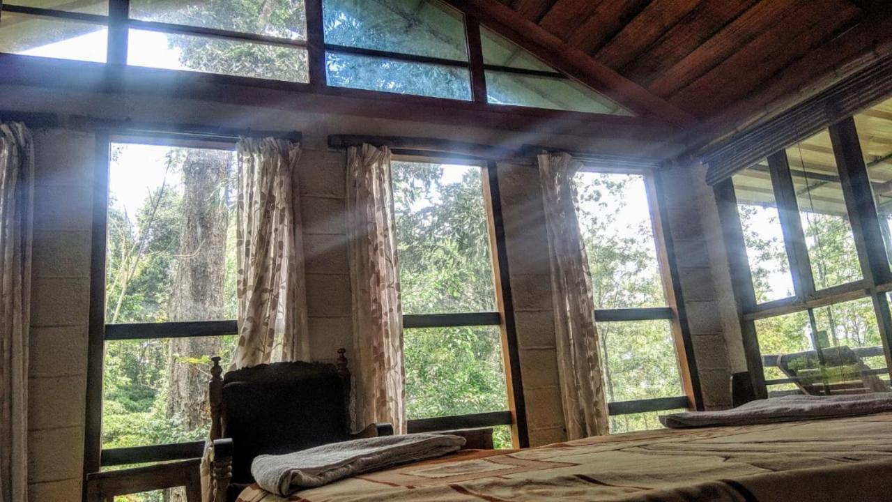 Jungle Jive Treehouse And Farm House Munnar Exterior foto