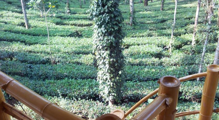 Jungle Jive Treehouse And Farm House Munnar Exterior foto