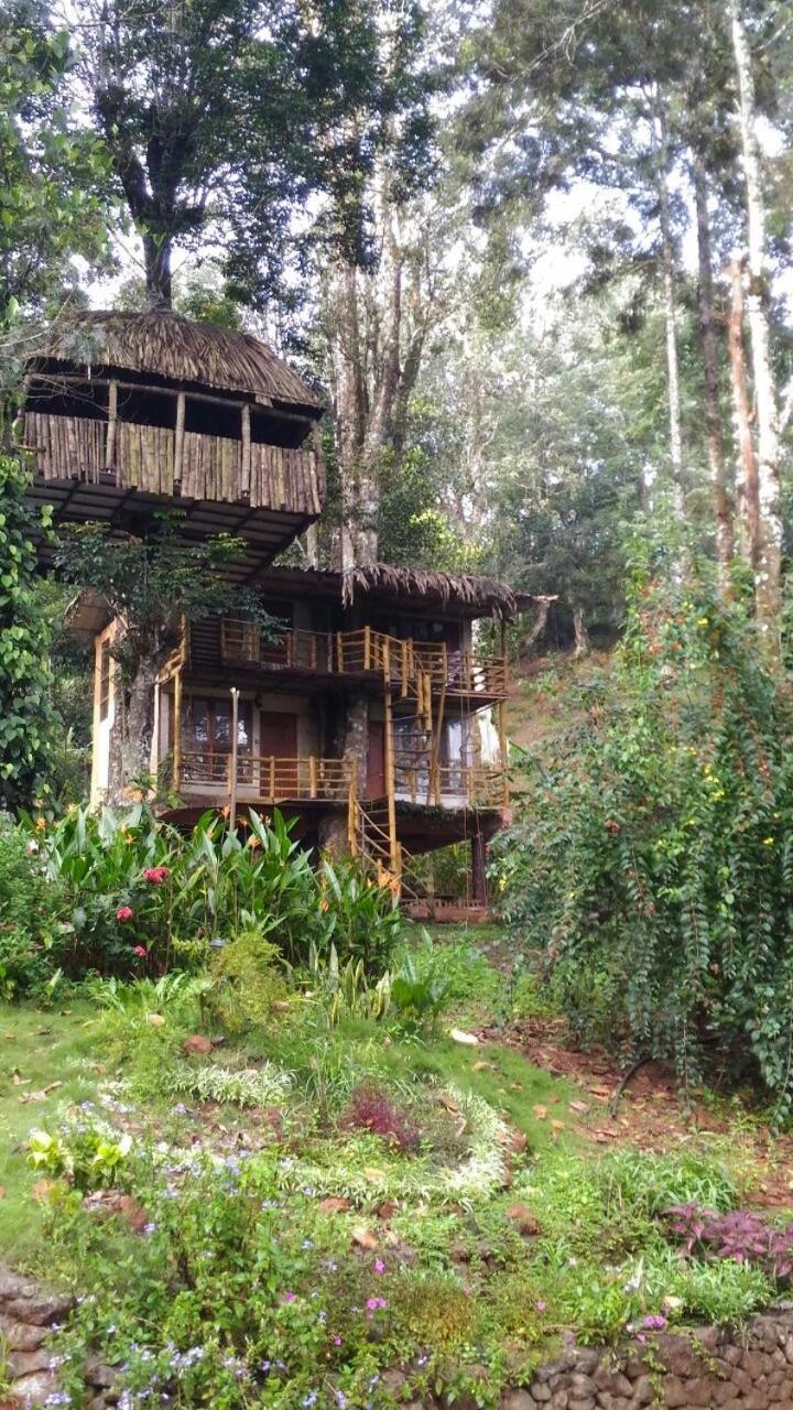 Jungle Jive Treehouse And Farm House Munnar Exterior foto