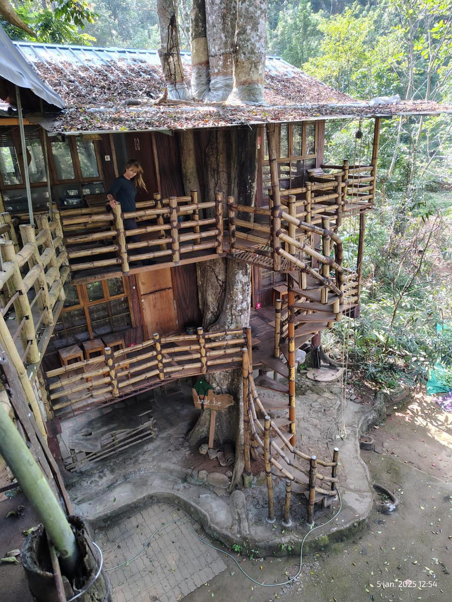 Jungle Jive Treehouse And Farm House Munnar Exterior foto