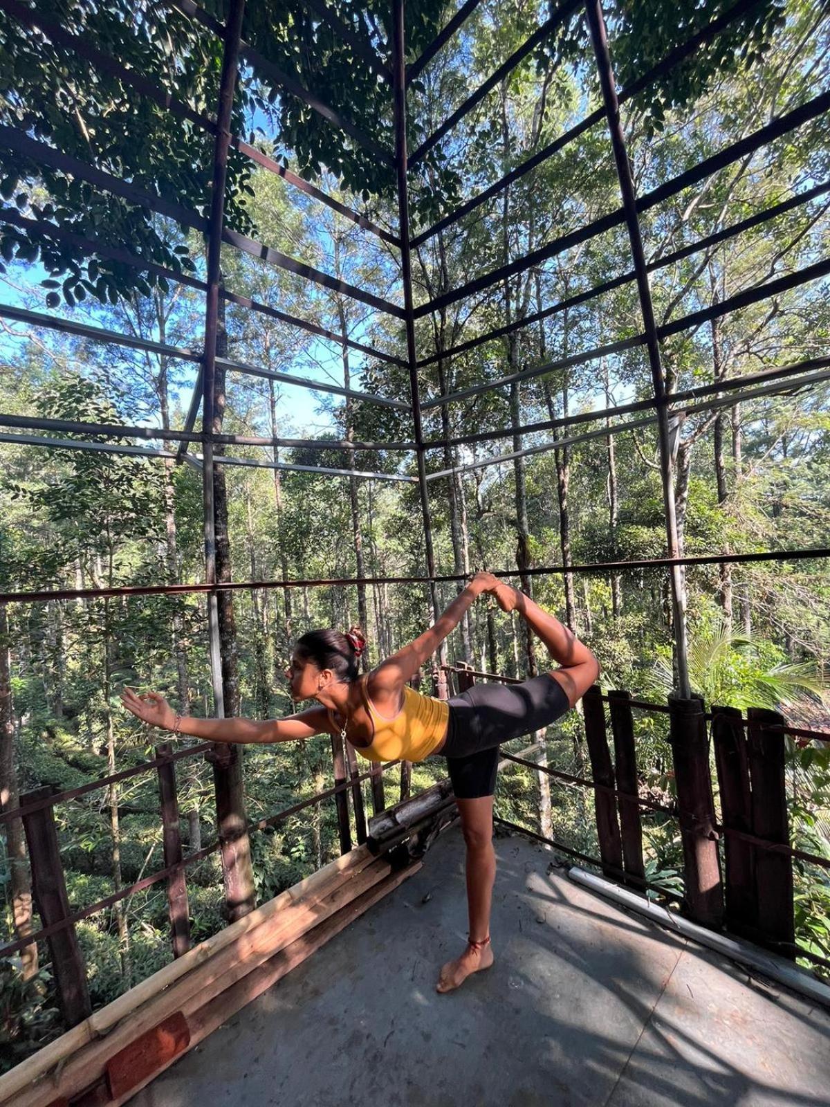 Jungle Jive Treehouse And Farm House Munnar Exterior foto